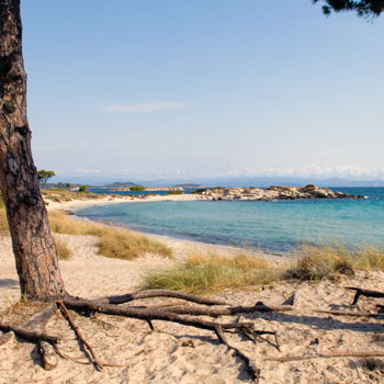 Beach Karydi Vourvourou Halkidiki Sithonia